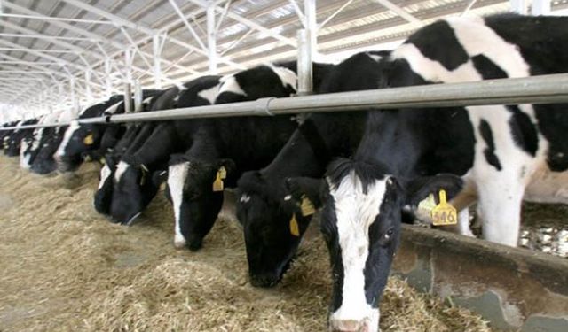 Bakan Pakdemirli: Hastalıktan Ari İşletme Desteğini bugün ödüyoruz