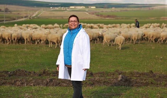 Genel Müdür Anadolu Tarım İşletmesinde incelemelerde bulundu