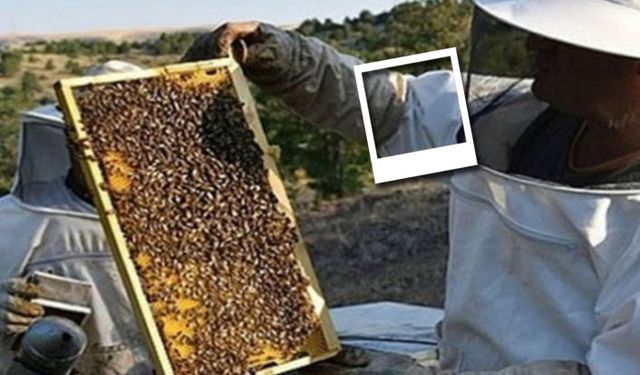 Muğla'da tarım masaya yatırılacak