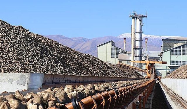 Sayıştay’dan şeker raporu: Fabrikalar özelleştirildi üretim düştü!