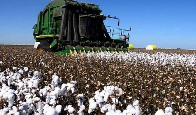 Tarım Bakanlığında GDO’lu tohum krizi!