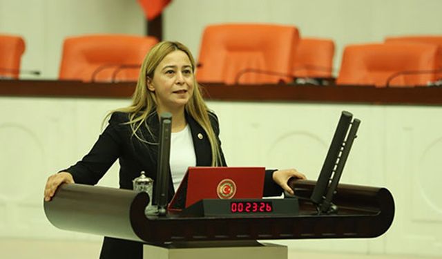 Tarımsal danışmanlar Meclis gündeminde