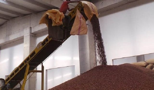 TMO'dan fındık üzüm ve incir üreticisine önemli açıklama: Alımlar 31 Aralık'ta sona eriyor