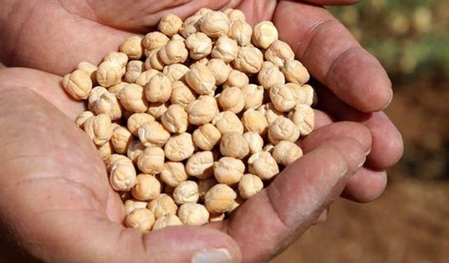 TMO'dan tepki çeken nohut satışıyla ilgili açıklama