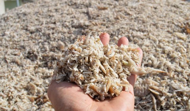 TÜRKŞEKER'den besiciye önemli pancar küspesi açıklaması