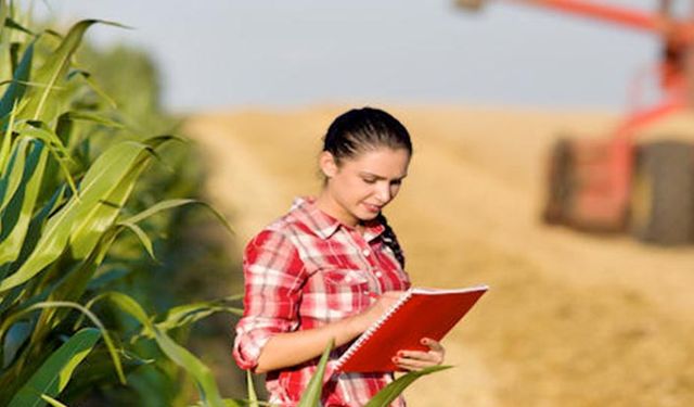 Uzman Eller Projesi başvuruları başlıyor: Hangi illerde uygulanacak hibe desteği ne kadar olacak?