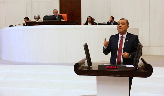 CHP Milletvekili Aygun: Rusya'dan gelen 13 gemi buğday boşaltmak için bekliyor