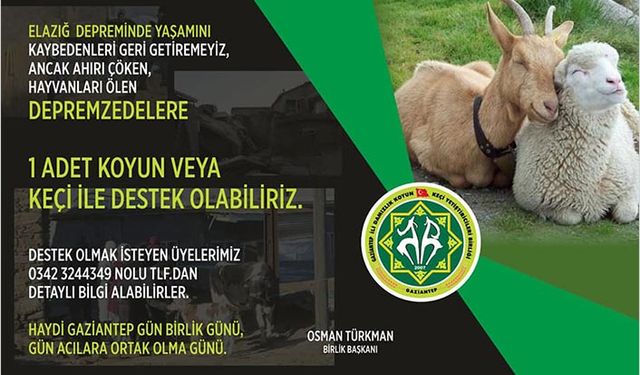 Gaziantepli çobanlardan depremzedelere anlamlı destek