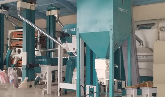 Giresun’da Siyez buğdayı paketleme tesisi kuruldu