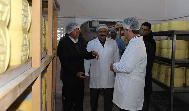 Iğdır'da Aytepe süt ürünleri tekrar faaliyete geçti