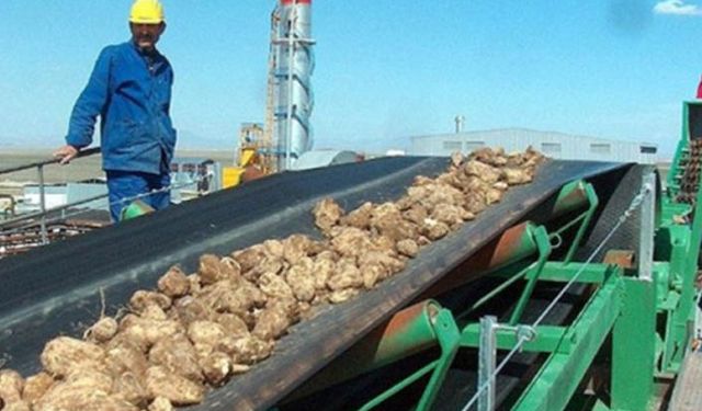 Şeker fabrikalarında işçi sorunu nasıl çözülecek? Mevsimlik işçilere kadro gelecek mi?