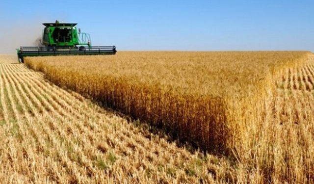 Suriye’den hububat ithal edilecek!