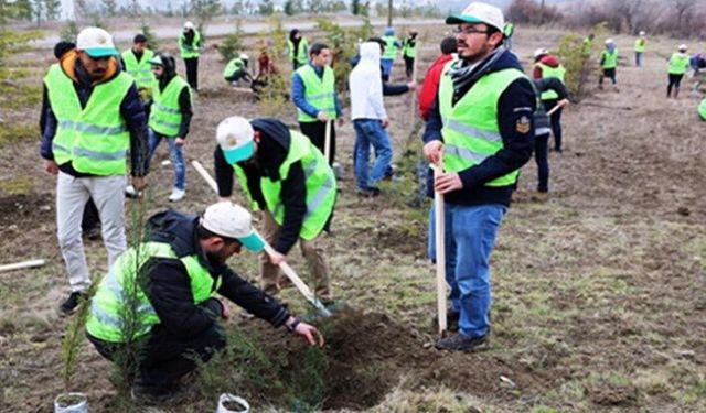Tarım Bakanlığından fidan açıklaması: Yüzde 95'i tuttu