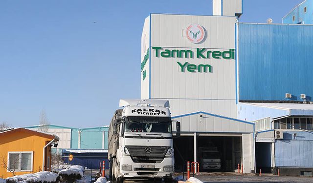 Tarım Kredi Yem: Büyükbaş ve küçükbaş hayvan yem fiyatları