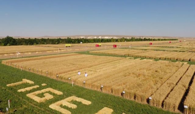TİGEM'de zararın nedeni hayvan ölümleri!
