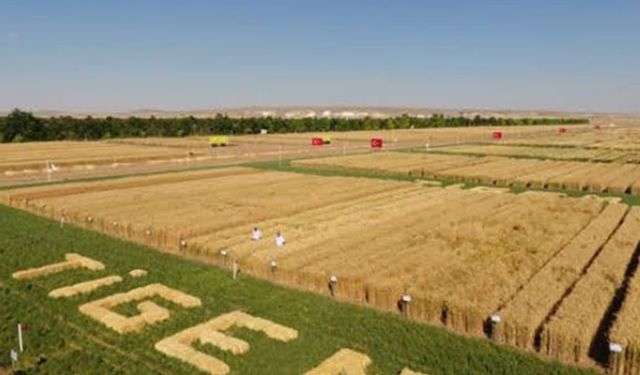 TİGEM hayvan ölümleri soruşturulsun!
