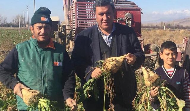 2019 yılı şeker pancarı ekim ve hasat miktarı ne kadar? Bakan Pakdemirli'den açıklama