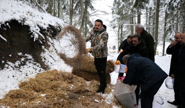 Bakan Pakdemirli: Yabani hayvanların beslenmelerini destekliyoruz