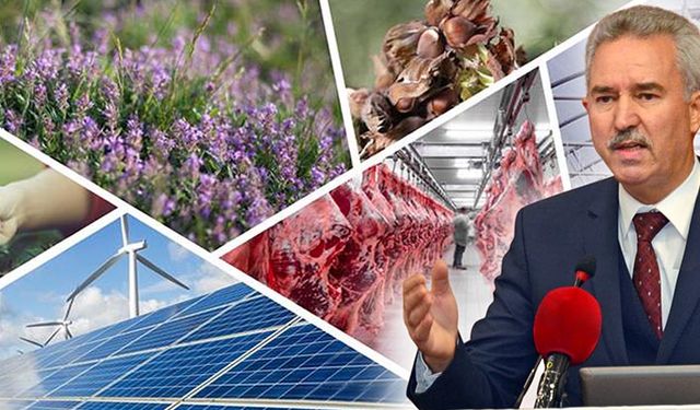 Denizlili'de tarımsal yatırıma 13.2 milyon lira hibe desteği