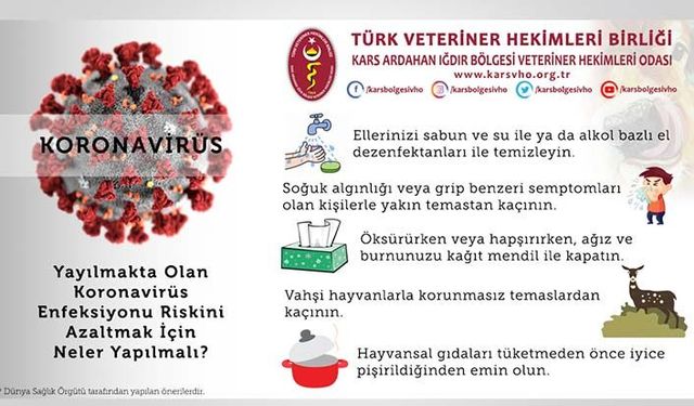 Koronavirüs nedir ve enfeksiyonlardan hayvanlar mı sorumlu?