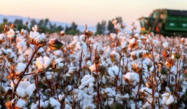 Mazot gübre desteği ödenmeyen çiftçi böyle tepki gösterdi: 'Bizi adam yerine koyun!'