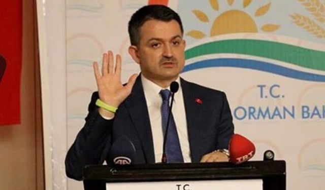 Sertifikalı tohumda GDO skandalına Bakan'dan kaçamak cevap!