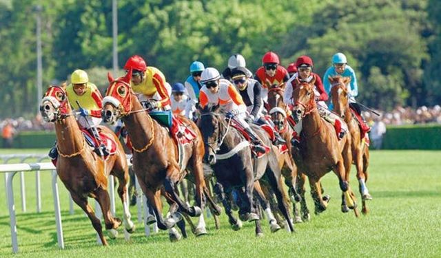Tarım Bakanlığında oluyor böyle işler: Kanunsuz atandı, yönetmelik değiştirildi, değişen yönetmeliğe göre yeniden atandı!