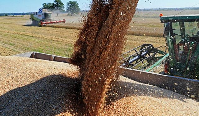 Buğday fiyatları 1480 TL ile 1800 TL arasında işlem gördü