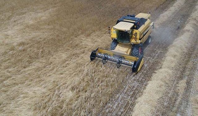 Buğday ithalatı 3 ayda 1 milyon tonun üstüne çıktı! Buğday, arpa, mısır, nohut ve çavdarda son durum!