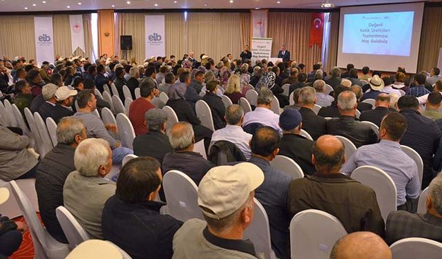 Denizli'de çiftçiler kekik üretiminden 125 milyon TL gelir elde etti