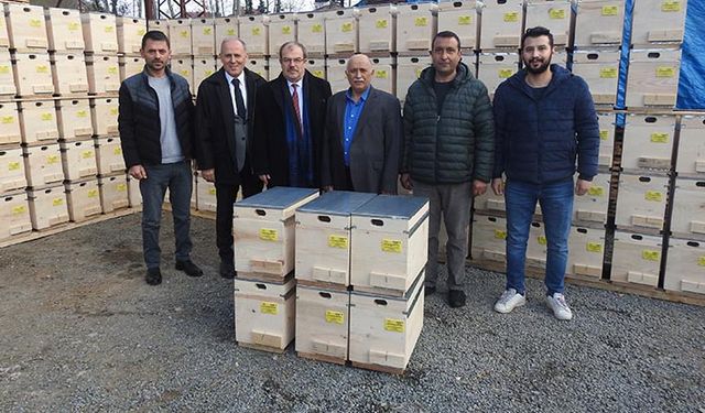 Giresun’da ana arı üretimine destek