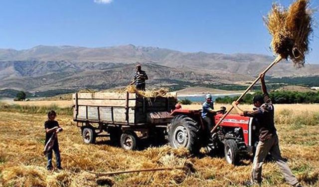 Tarım ve hayvancılığa düşük faizli kredi şartları belli oldu
