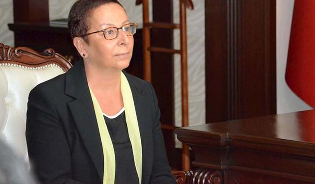 TİGEM’in göz bebeği Ceylanpınar kara geçti