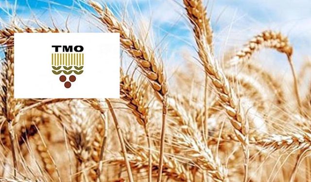 TMO 300 bin ton buğday, 25 bin ton arpa ithal edecek!