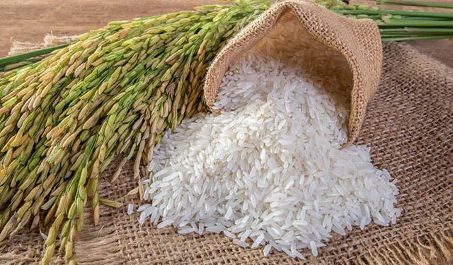 TMO'dan kamuoyu açıklaması: Stoklarımızda yeterli pirinç ve çeltik var