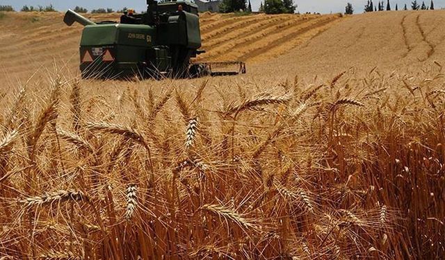 TMO vadeli arpa satışına başladı: Buğday, mısır, arpa ve yulaf satış fiyatları belli oldu