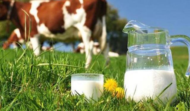 TÜİK'e göre Ocak ayında inek sütü yüzde 8.9 arttı!