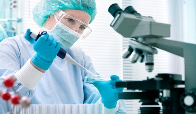 Türk Veteriner Hekimleri Birliğinden çağrı: Aşı üretimi için bilgi ve tecrübelerimizi paylaşmaya hazırız