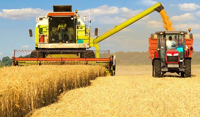 1 milyon ton buğday ithal edilecek mi? TMO'dan gümrük vergisi açıklaması