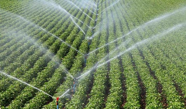 Ankara’da 161 bin dekar tarım arazisi suyla bulaştı