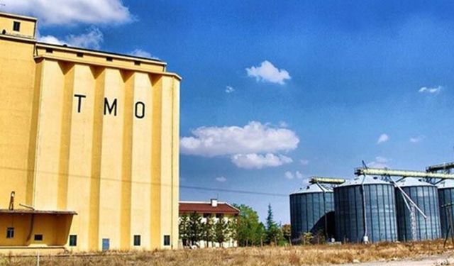 Buğday ithalatında 5'inci ihale!