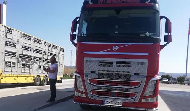 Hayvan pazarları kapalı ancak yabancı plakalı TIR'lar ithal hayvan taşıyor!