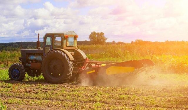 Hibe tohum desteğinde 21 il hangi kriterlere göre belirlendi?