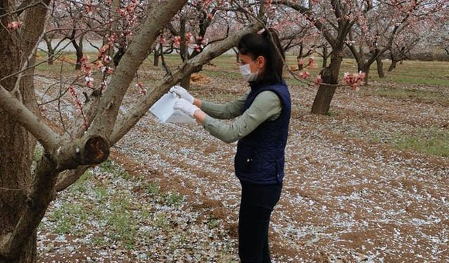 Iğdır Tarım Orman İl Müdürlüğü: Bu zor günlerde çiftçimizi yalnız bırakmayacağız