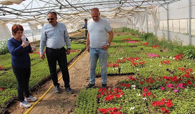 Şehitlikler ve okul bahçeleri il müdürlüğünün yetiştirdiği çiçeklerle süsleniyor