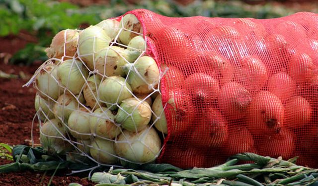 Soğan üreticisine Amik Ovası'ndan gelen ihracat izni