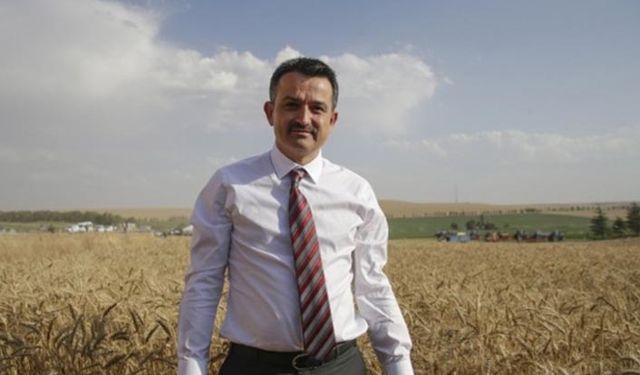 Stratejik ürünler için 21 ilde yüzde 75 hibe tohum desteği