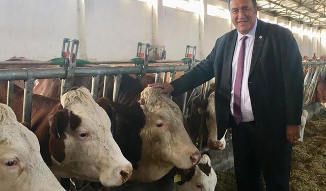 Tarım Bakanlığı besici ve sütçünün yanında olduğunu gösteren önlemler almalı
