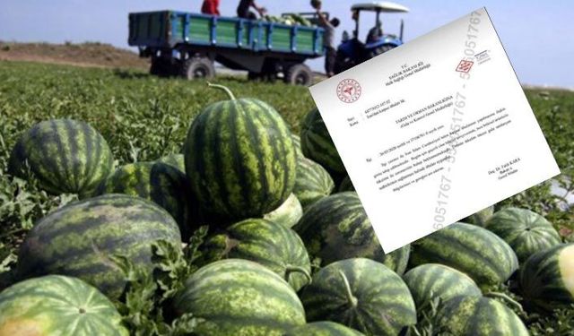Tarım Bakanlığı karpuz ithalatı için Sağlık Bakanlığından görüş istedi!
