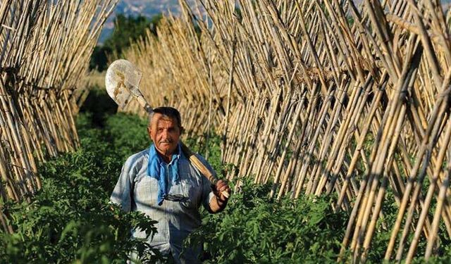Tarım Bakanlığından dikkat çeken Covid-19 broşürü
